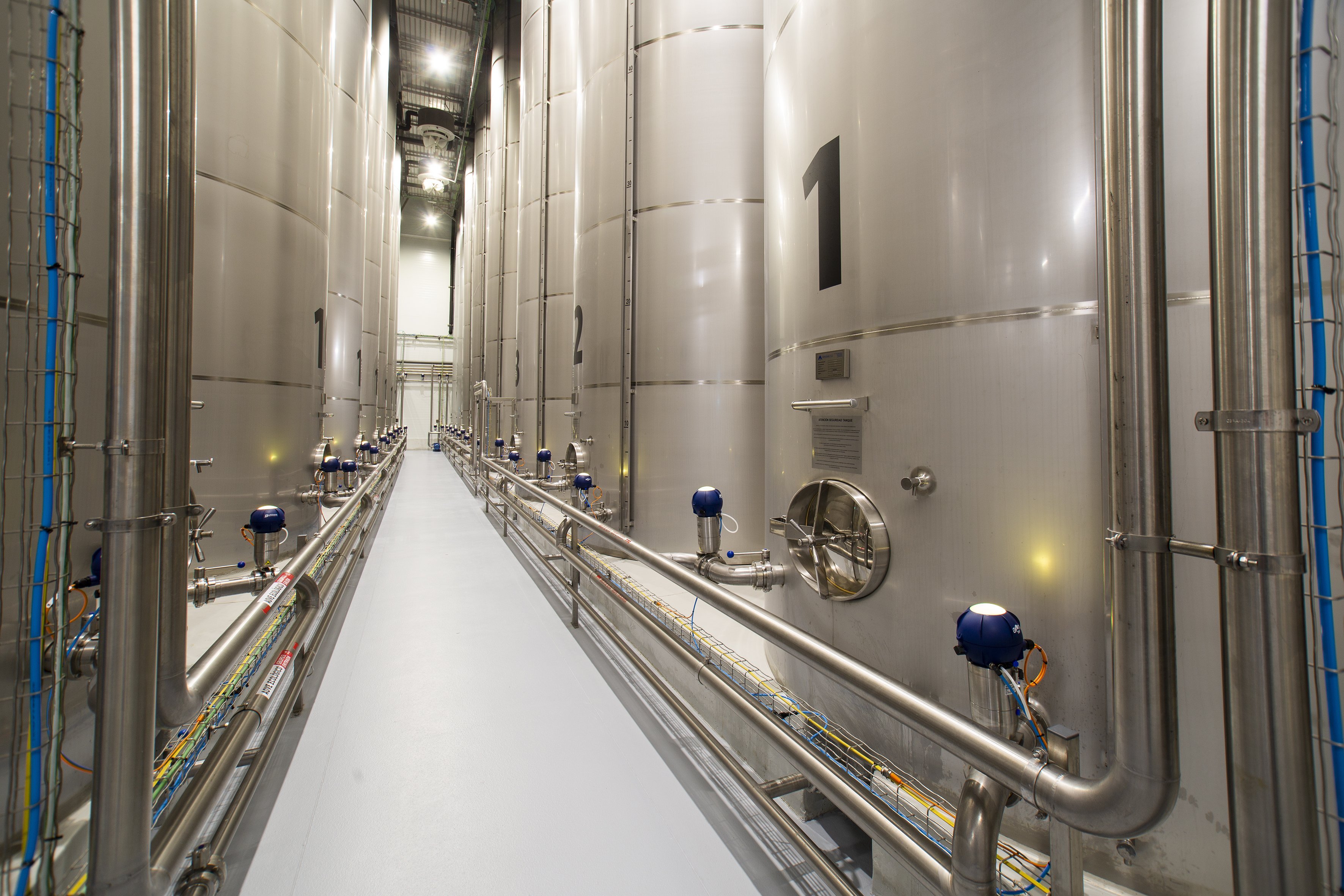 Esperan que la producción de aceite de oliva de la UE se recupere aún más en 2024/25