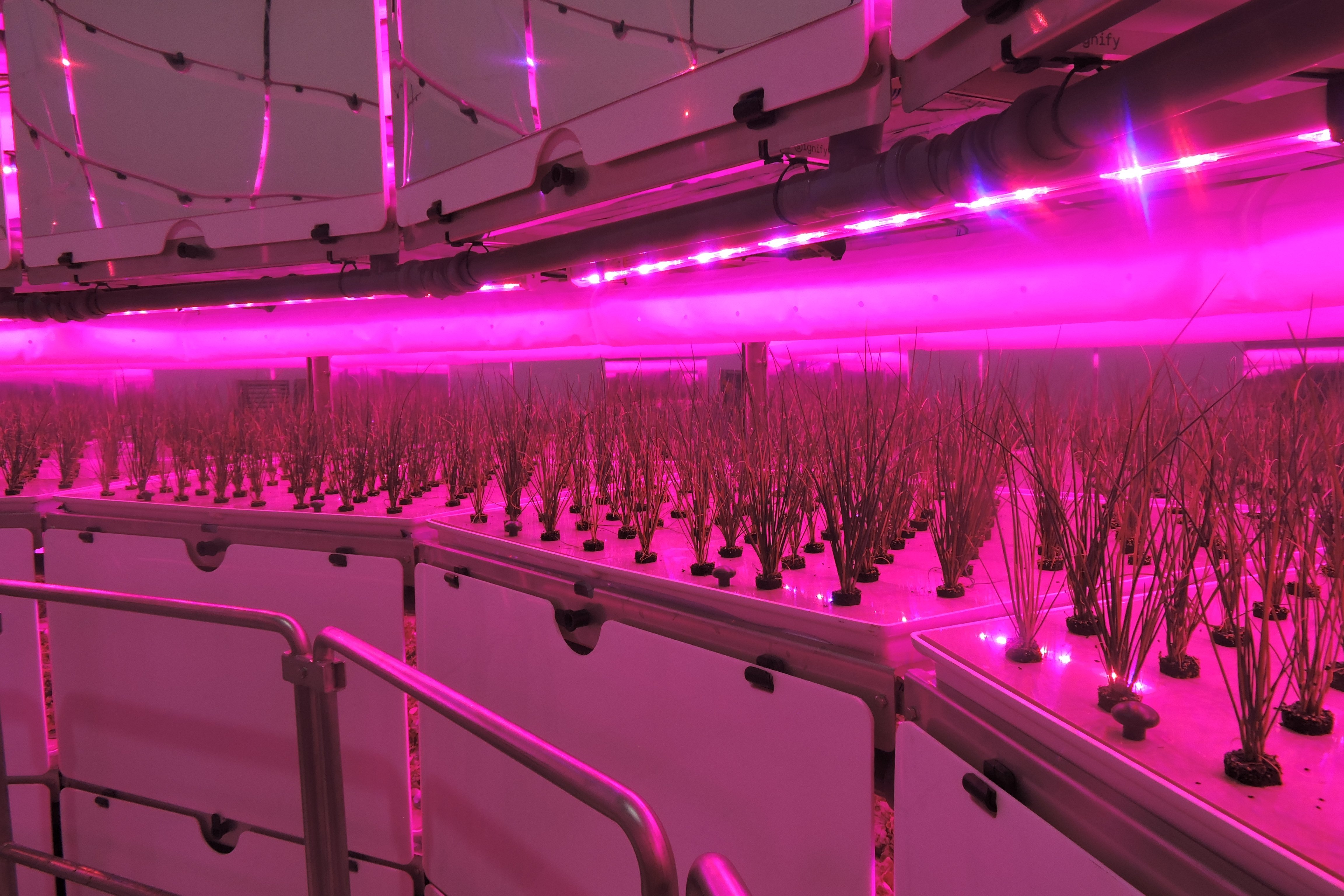El sistema de ventilación de Farmitank, caso de éxito en Vertical Farm Daily