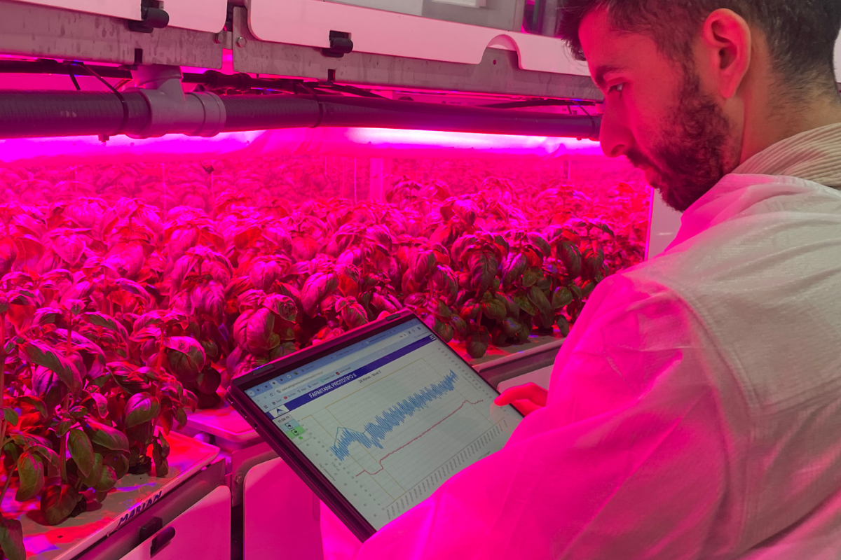 El software de control: el núcleo que da vida a nuestras instalaciones de agricultura vertical